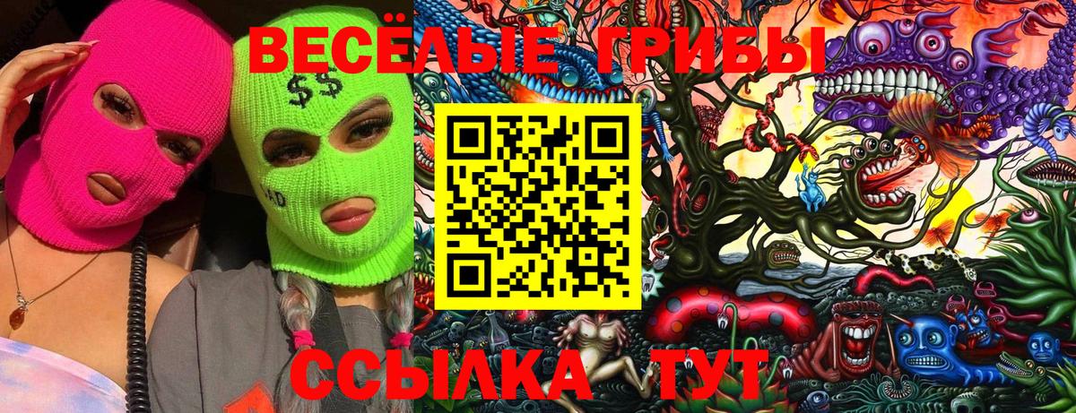 Псилоцибиновые грибы прущие грибы  наркотики  Галлюциногенные грибы Psilocybe  Энгельс  Вход с VPN 